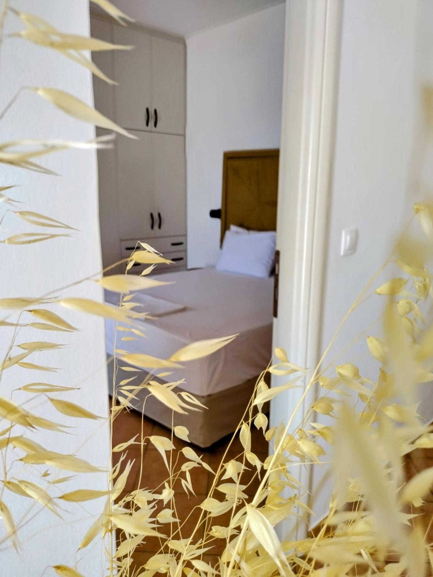 Lefkanthemo Astypálaia Exteriér fotografie